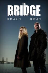 The Bridge (2011)