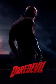 Marvel’s Daredevil (2015)