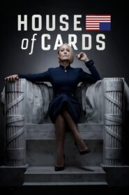 House of Cards (2013)