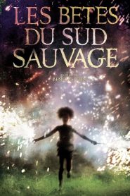 Les bêtes du sud sauvage (2012)