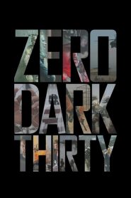 Zero Dark Thirty (2012)