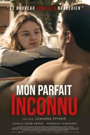 Mon parfait inconnu (2024)